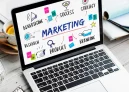 freelance digital marketing -Digital marketing specialist